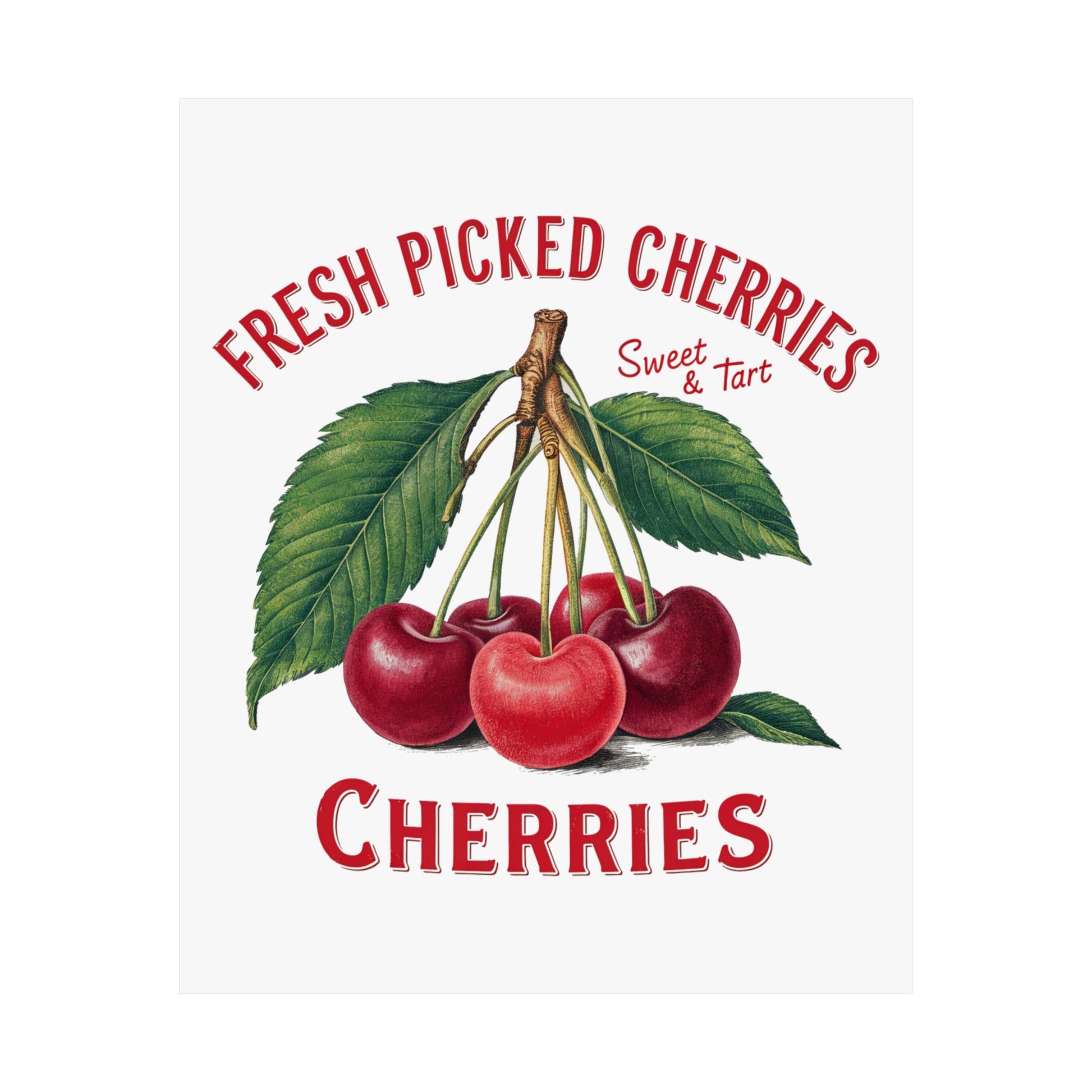 Printifys Vintage Kitchen Poster: Fresh Picked Cherries Satin Art Print (9x11) features three red cherries and bold red lettering—Sweet & Tart, Cherries—perfect farmhouse wall decor for a charming home.
