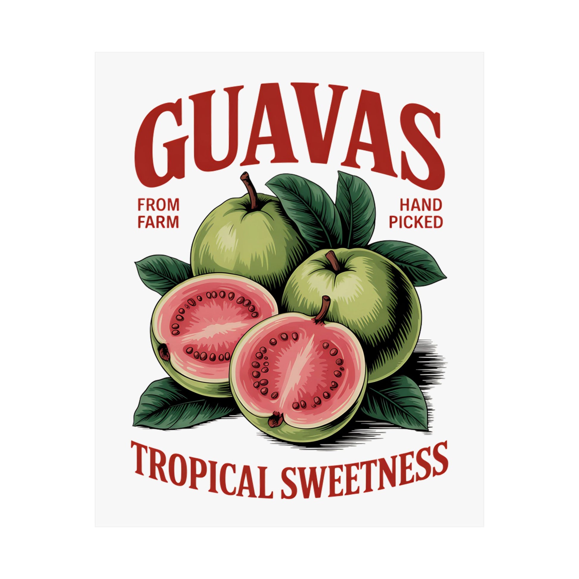 Printify’s Vintage Fruit Art Print - Guavas Tropical Satin Poster features whole and sliced guavas with green leaves and bold red GUAVAS text. This 9x11 inch wall art is perfect for brightening up your kitchen decor.