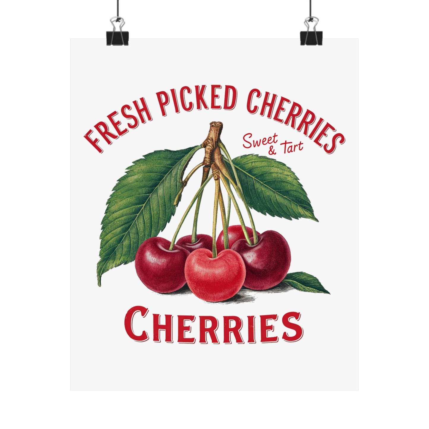 Fresh Picked Cherries Satin Poster featuring vibrant cherries and the text 'Sweet & Tart'. A perfect vintage kitchen poster for farmhouse decor.